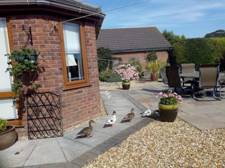 Coastal Garden Lodge Preesall Exterior foto